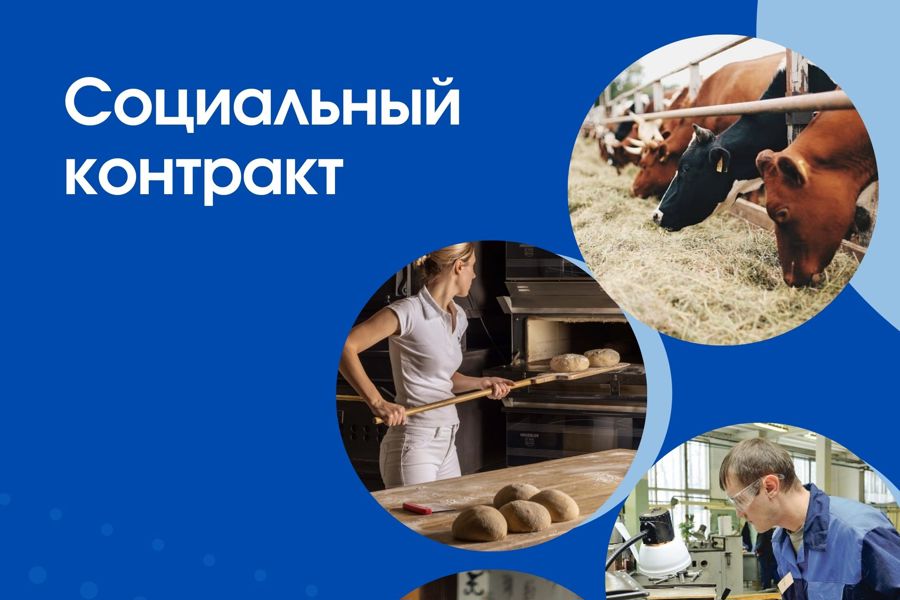 Государственная социальная помощь на основании социального контракта