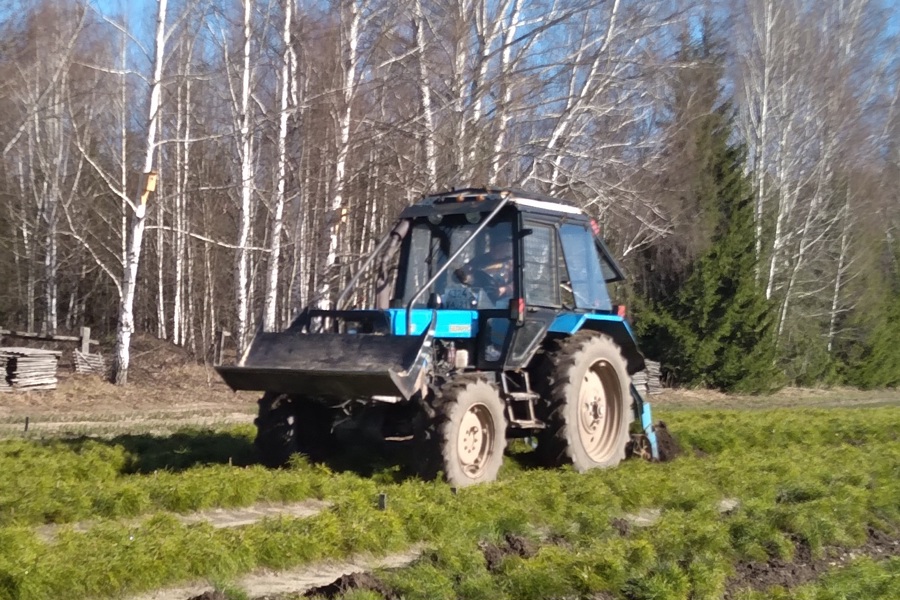 Шумерлинское лесничество готовится к лесокультурному сезону (11.04.2024)