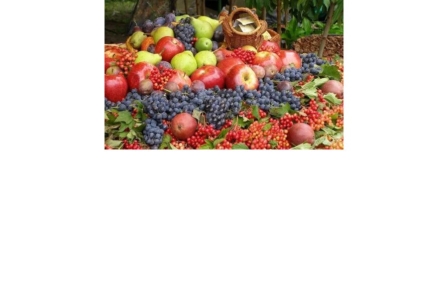Что нужно знать о сезонных фруктах и ягодах.