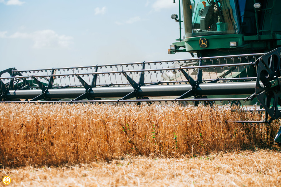 В Чувашии скошено 98% зерновых и зернобобовых культур