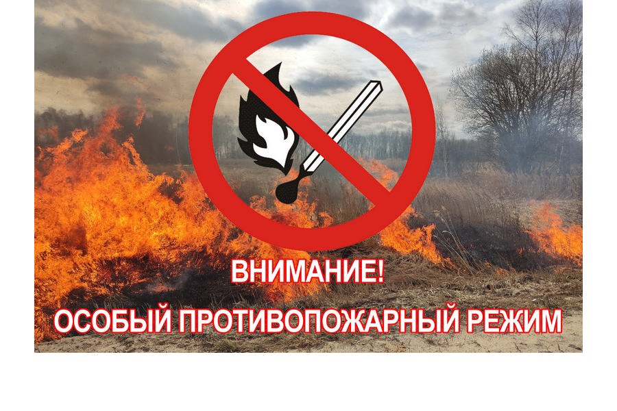 На территории Чувашской Республики с 10 апреля действует особый противопожарный режим