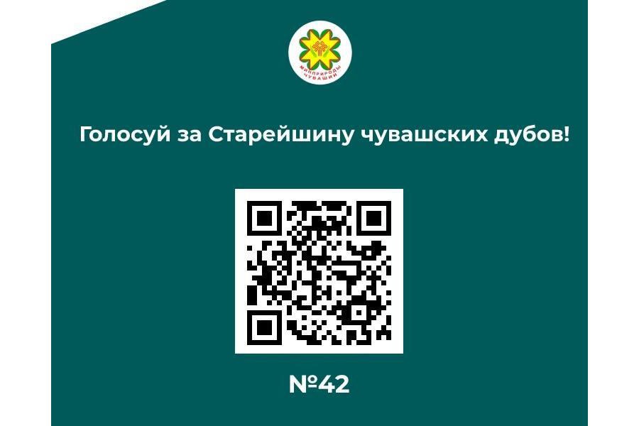 Старейшина чувашских дубов уже набрал более 9000 голосов