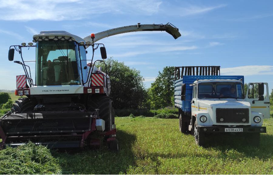 Для аграриев Красночетайского муниципального округа наступила еще одна ответственная и важная пора – заготовка кормов
