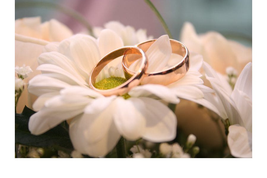 В Чувашии 10 тысяч пар отметят  «ромашковую» свадьбу