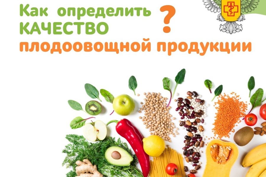 Качество и безопасность плодоовощной продукции