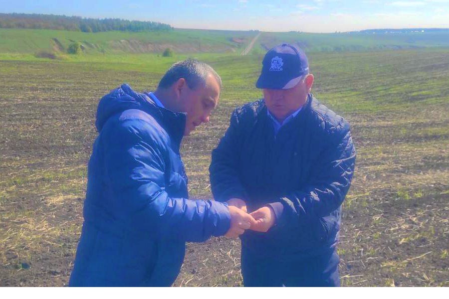 Глава Янтиковского муниципального округа совершил объезд сельскохозяйственных полей
