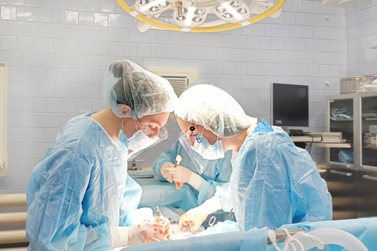 Чебоксарские врачи успешно провели операцию по удалению миомы больших размеров, сохранив женщине репродуктивную функцию