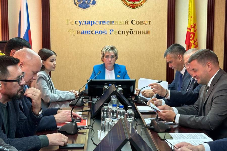 Заседание Комитета Государственного Совета Чувашской Республики по социальной политике, национальным вопросам