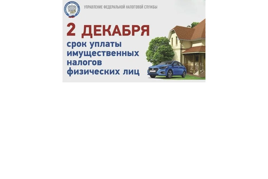 2 декабря 2024 года — последний день уплаты имущественных налогов!