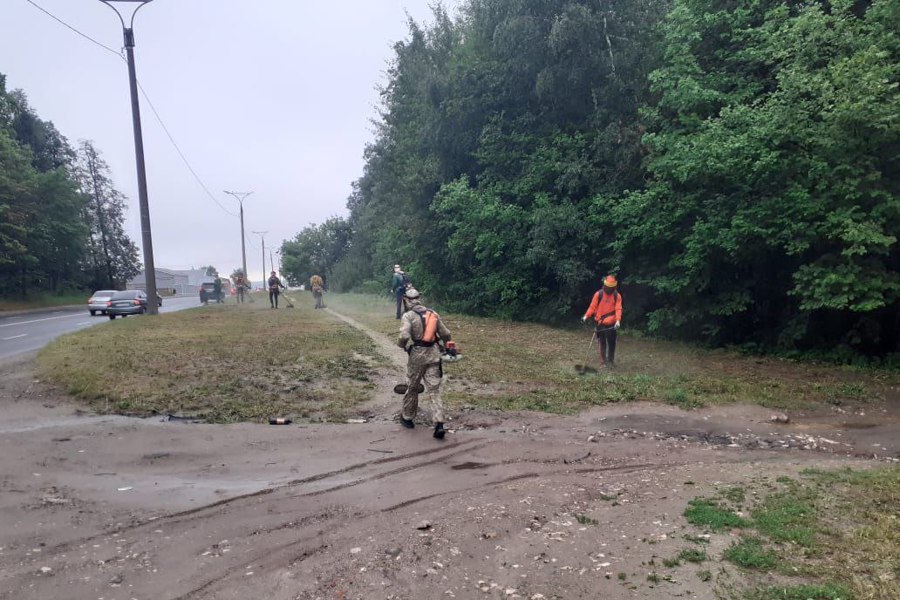 В городе Чебоксары проходит покос территорий