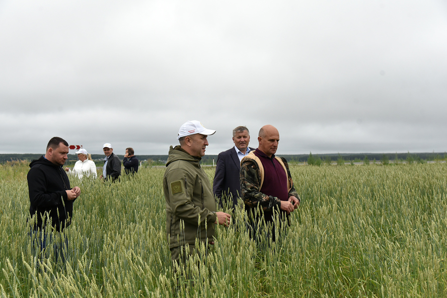 Сергей Артамонов провел объезд полей в преддверии уборочных работ в Чувашии