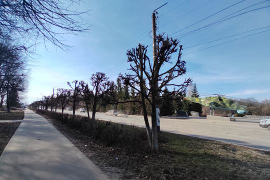 В городе Канаш проводятся работы по обрезке и кронированию деревьев