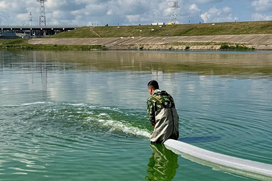 Водные ресурсы Волги пополнились на 28 тысяч мальков краснокнижной стерляди