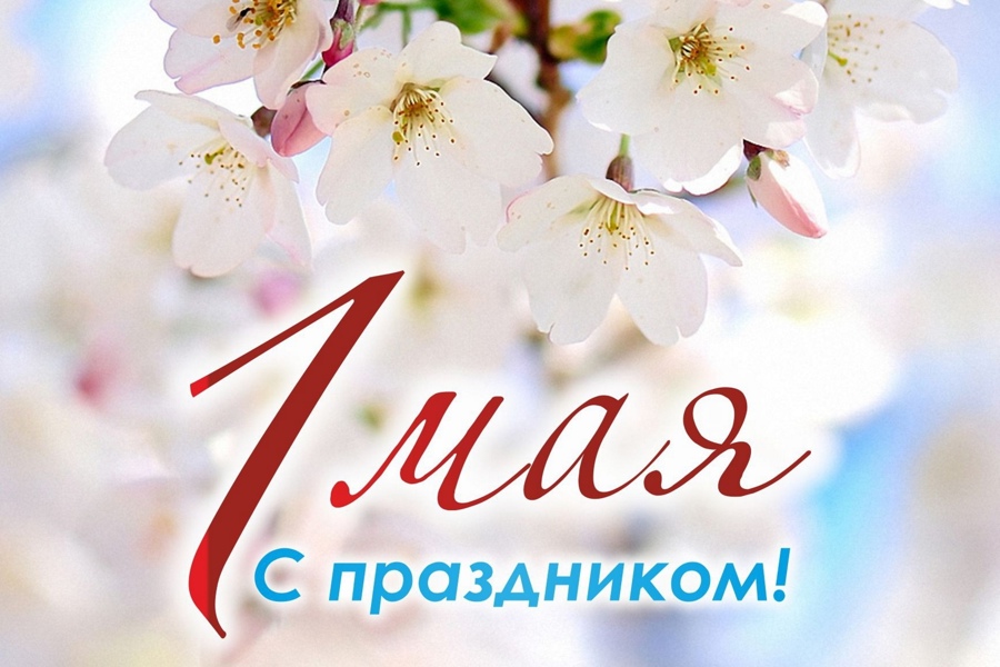 Поздравление министра труда Алены Елизаровой с Праздником Весны и Труда