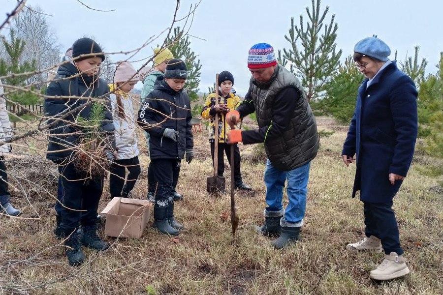 В Красноармейском МО проходит всероссийская акция «Сохраним лес»
