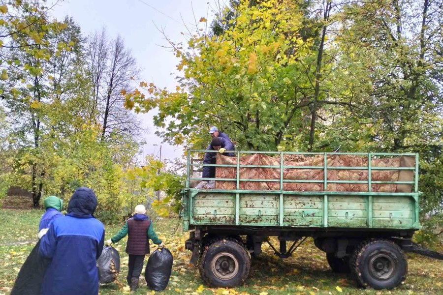 Чебоксары готовятся к зиме: продолжаются экологические мероприятия