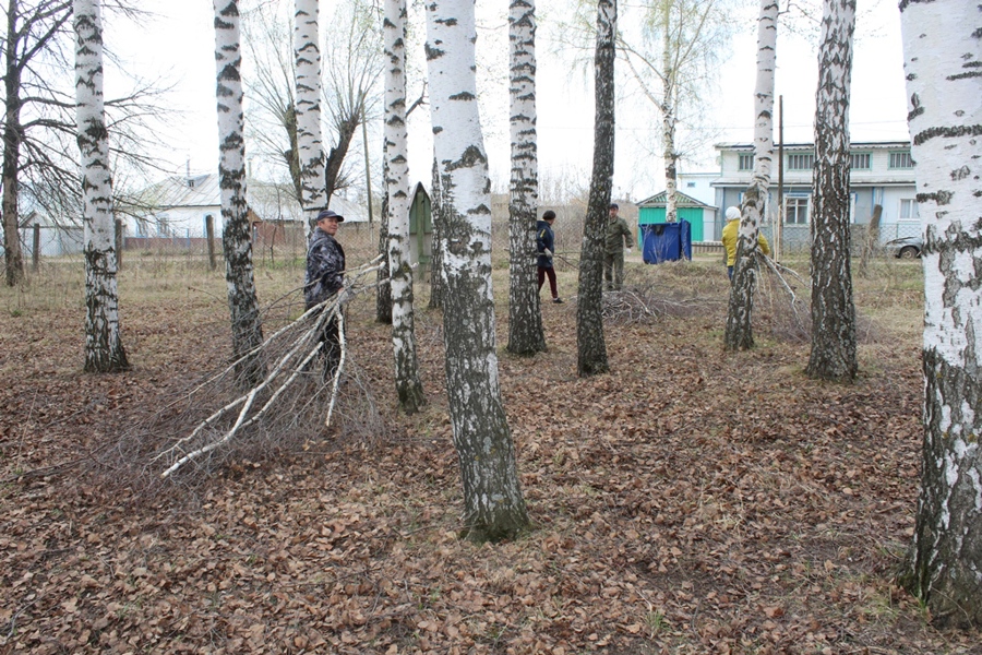 Урмарский муниципальный округ  присоединился к Всероссийскому субботнику