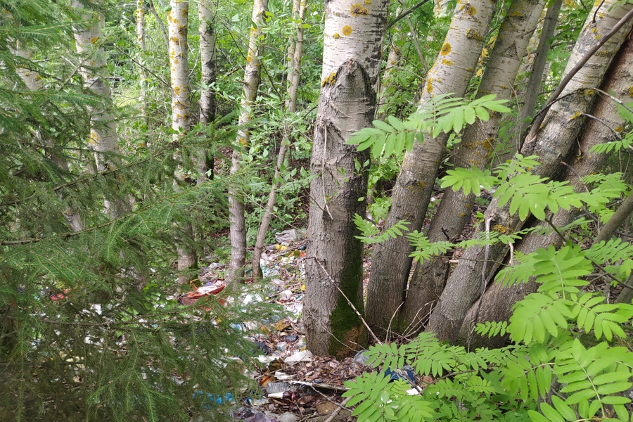 Прокуратурой Красночетайского района приняты меры в целях ликвидации несанкционированной свалки