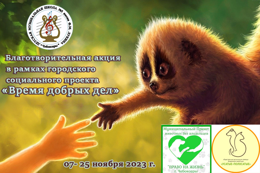 «Время добрых дел»: в Чебоксарах стартовала благотворительная акция в поддержку бездомных животных