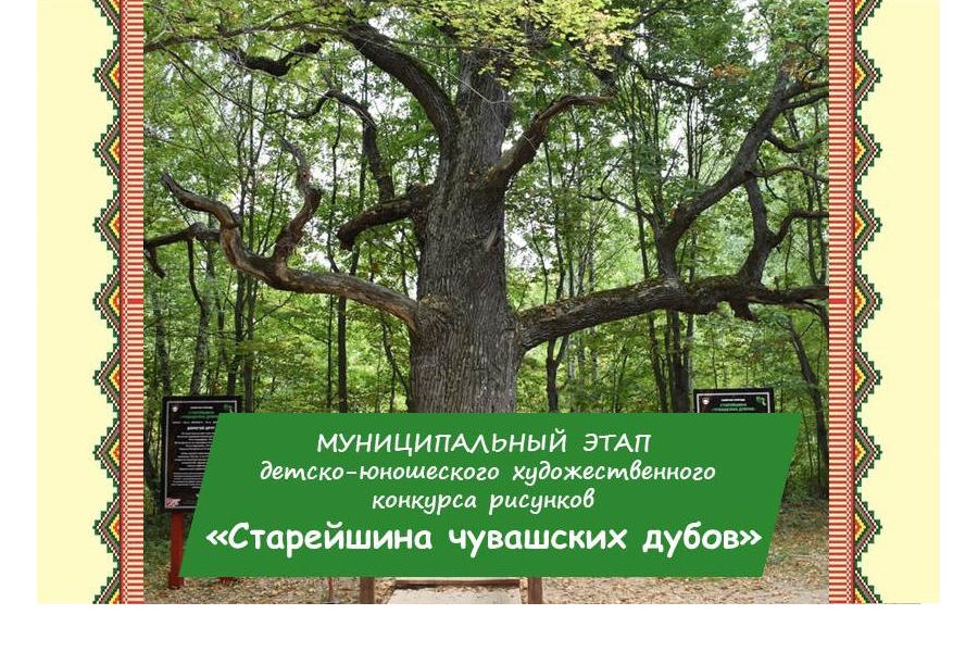 «Старейшина чувашских дубов»: муниципальный этап детско-юношеского художественного конкурса рисунков