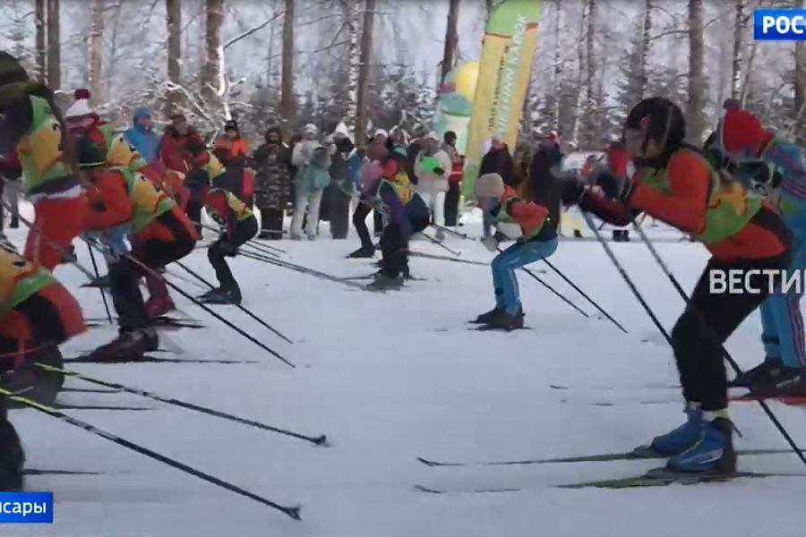 В Чувашии более 200 спортсменов разыграли Кубок по лыжным гонкам