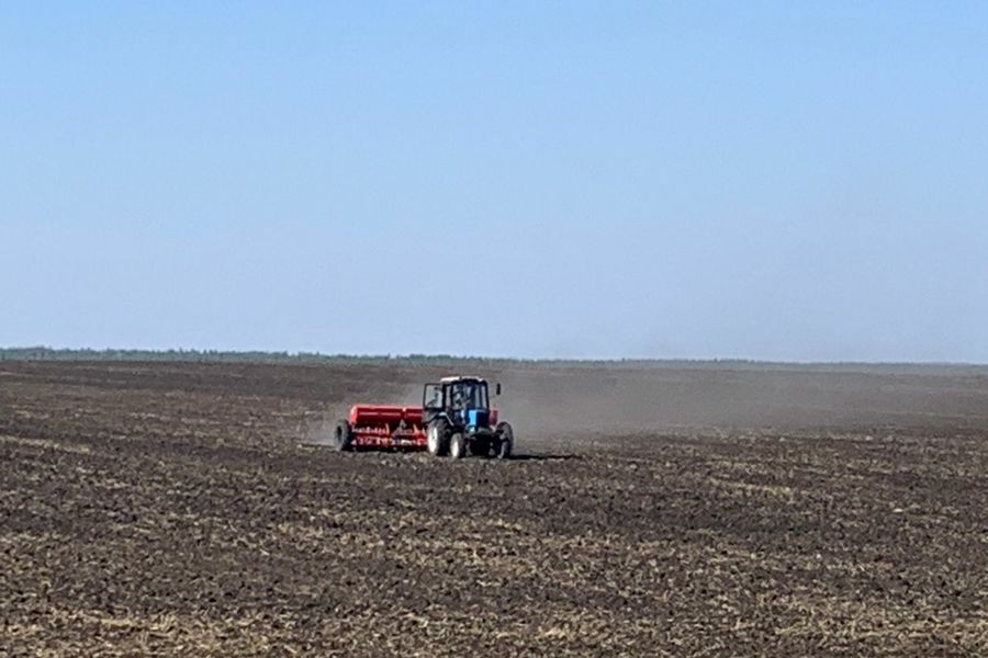 Информация о ходе весенне-полевых работ в Шемуршинском муниципальном округе на 22 апреля 2023 года