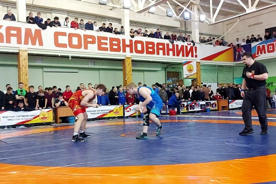 Борцы вольного стиля Чувашии выиграли 37 медалей первенства ПФО
