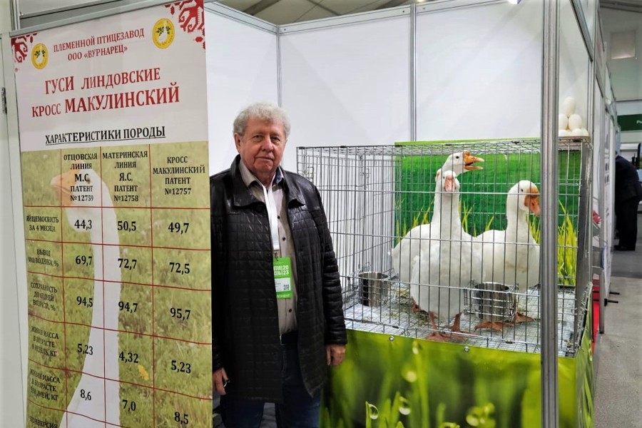 ООО «Вурнарец» принимает участие на главной агропромышленной выставке страны «Золотая осень - 2023» в Москве
