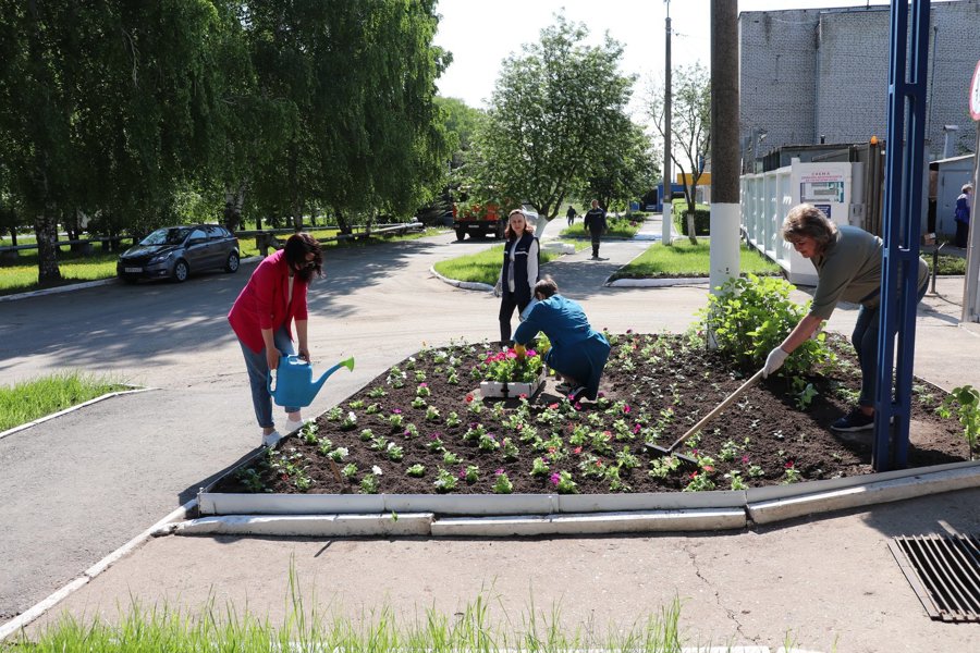 В этом году МУП «Коммунальные сети города Новочебоксарска» высадило рекордное количество клумб – 60