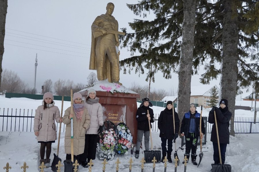Обучающиеся МБОУ Николаевской ООШ провели традиционную акцию «Снежный десант»