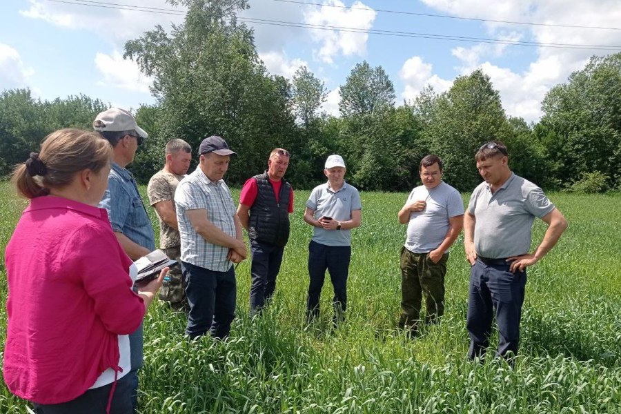 Приемка посевов прошла. Есть надежда на хороший урожай