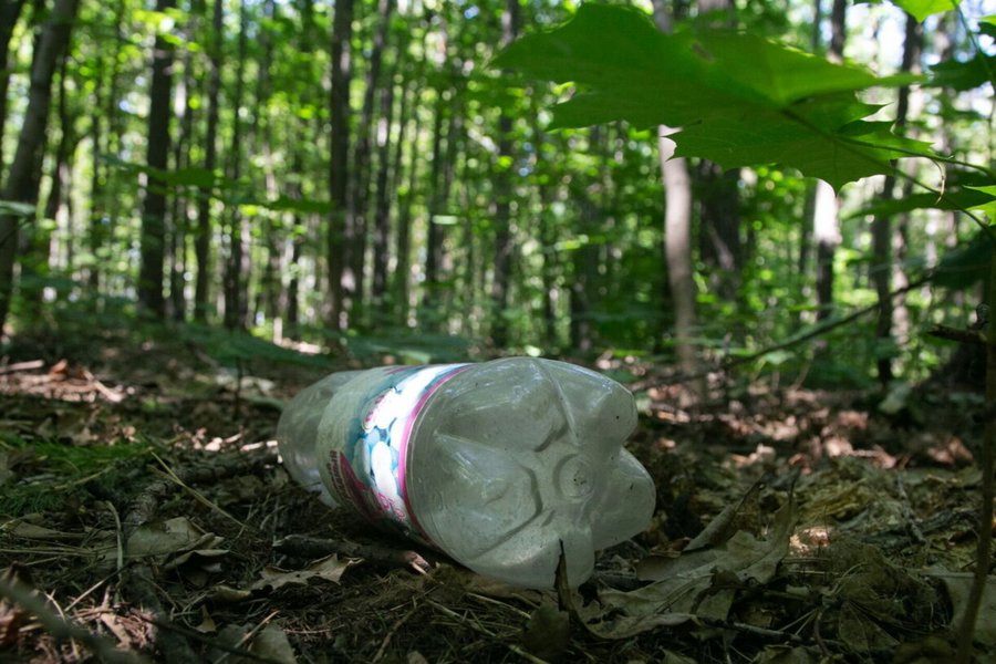 Сбережем лес от пластика!