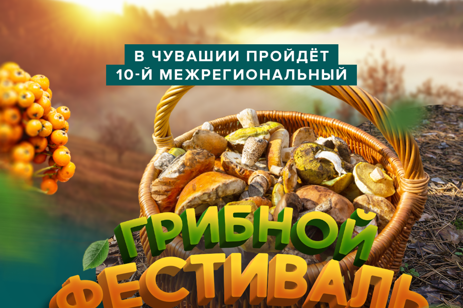 Грибной фестиваль ждет вас!