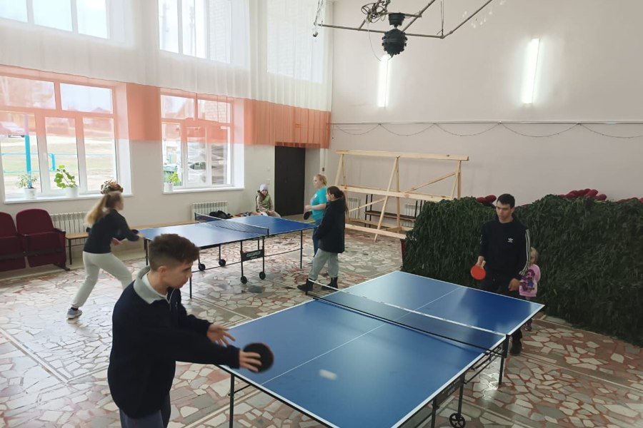 В Атнашевском территориальном отделе состоялся турнир по настольному теннису