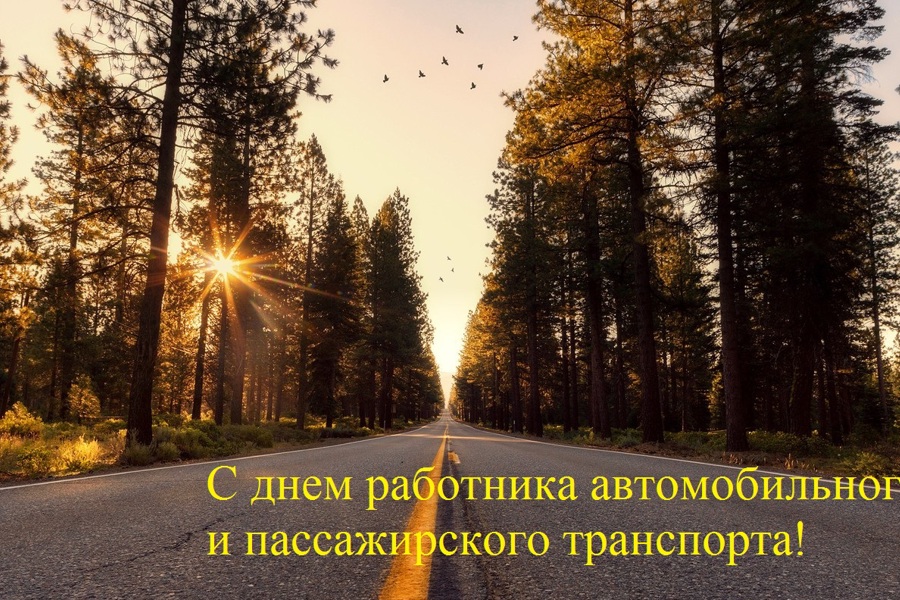 Глава Красноармейского муниципального округа Павел Семенов поздравляет с Днем работника автомобильного и пассажирского транспорта