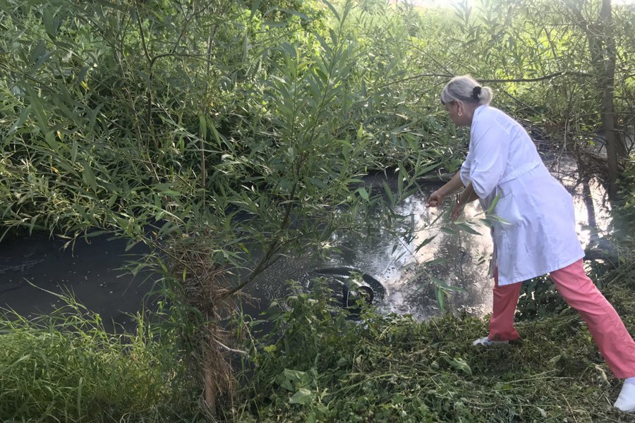 В реках Вырасилка и Зирекле зафиксированы значительные превышения предельно допустимых концентраций загрязняющих веществ