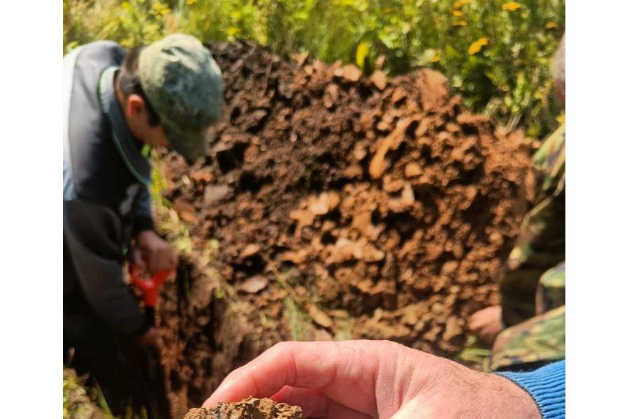 Приступили к почвенным обследованиям сельскохозяйственных земель