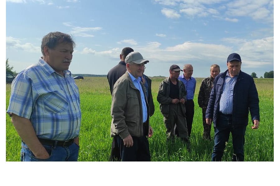 На полях Красночетайского муниципального округа прошла приемка посевов