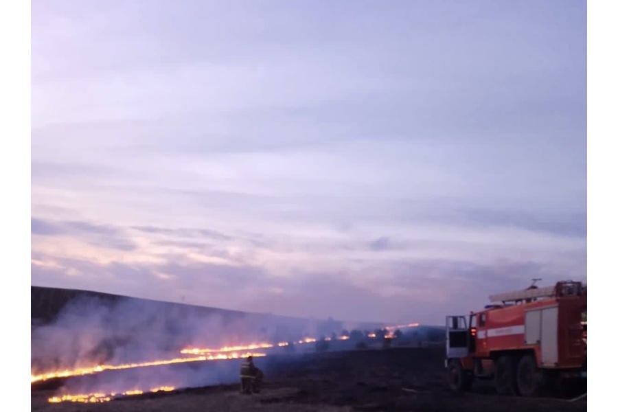 По причине сжигания сухой травы  в поле деревни Турдаково произошел крупный пожар