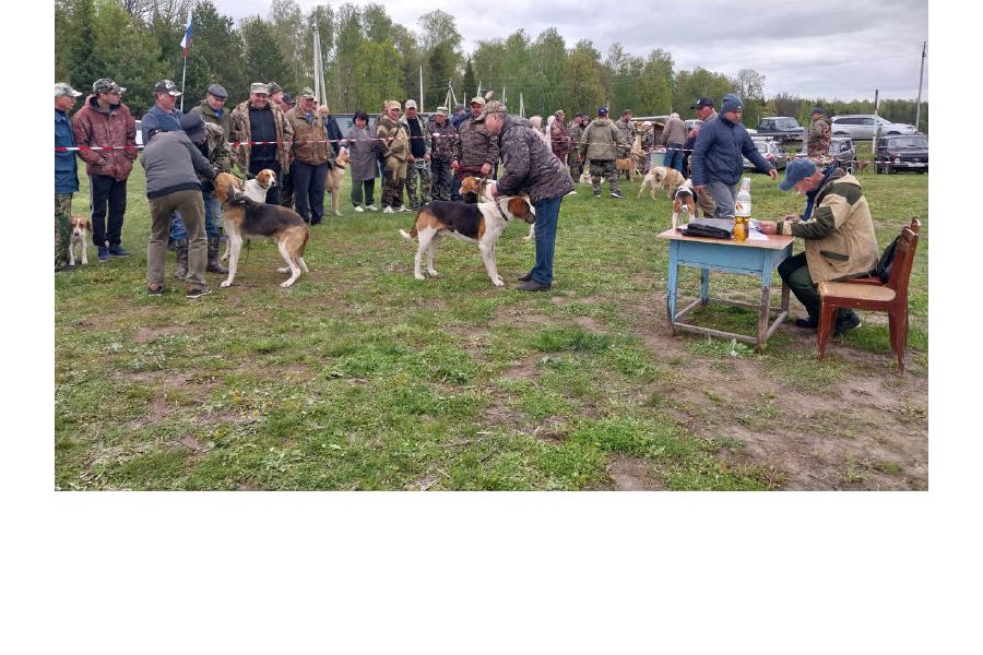 В Чувашии состоялась 65-ая выставка охотничьих собак