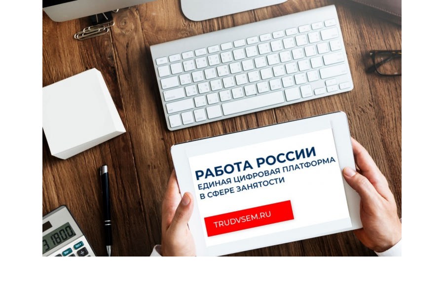 Число пользователей портала «Работа России» превысило 19 млн человек