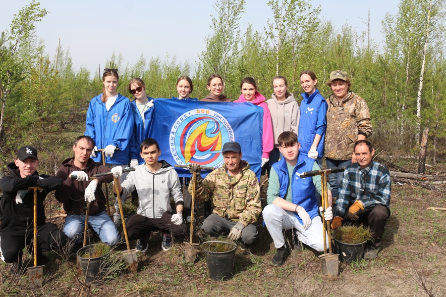 Волонтеры, работающая молодежь города Чебоксары присоединились к Международной акции «Сад памяти»
