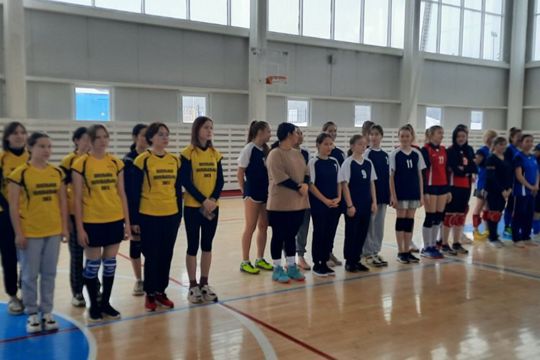 Турнир по волейболу среди женских команд, посвященный Международному женскому Дню