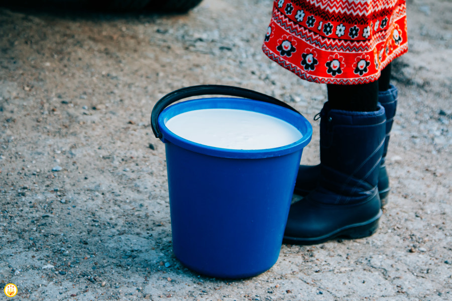 Производство молока в России за январь-март выросло на 3,7%